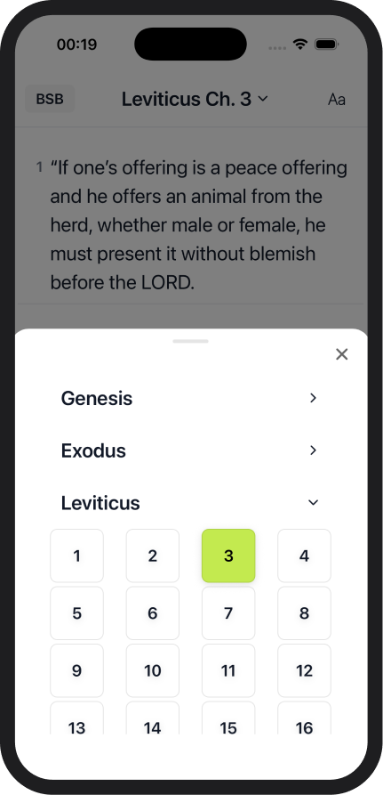 Bible mode alternate view